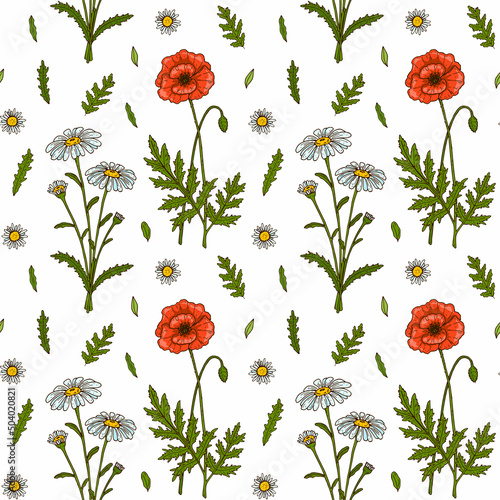 Meadow flowers summer seamless pattern. Colorful hand drawn vector illustration. Botany design