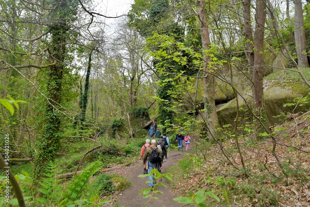 Group of senior hikers walking in the Traouiero valley at Tregastel in Brittany-France