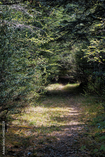 Ordesa National Park,Huesca,Spain