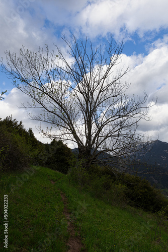 Ordesa National Park,Huesca,Spain