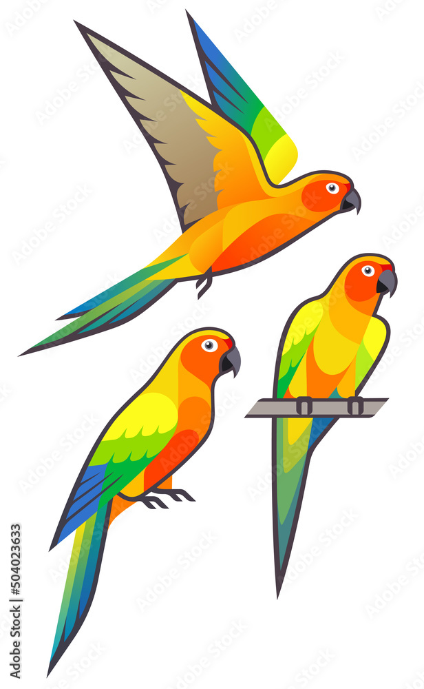 Stylized Parrots - Sun Parakeet