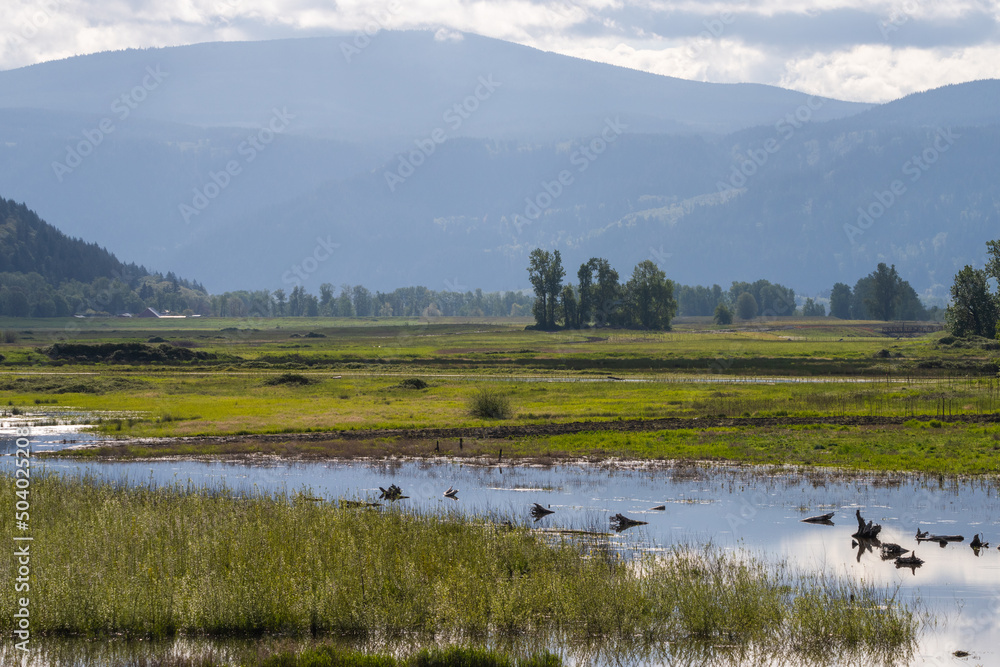 Landscape views from Steigerwald Lake Wildlife Refuge, Washington State