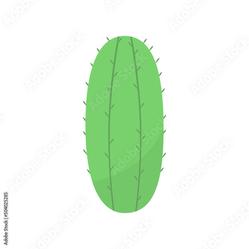 cute cactus or succulent  vector cartoon illustration in flat style