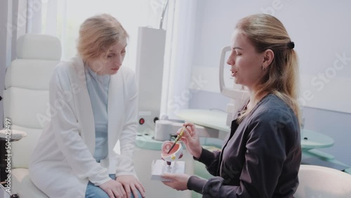 Female ophthalmologist showing the eye model to a patient during a medical consultation in the ophthalmologic office