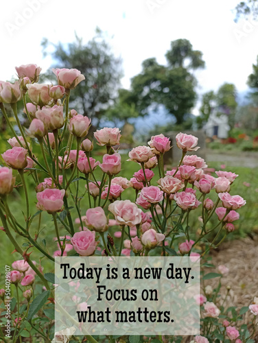 Card with flowers. Inspirational motivational quote - Today is a new day. Focus on what matters. With colorful pink roses blooming in the garden. photo