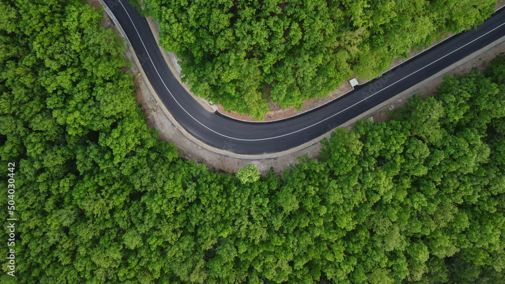 Aerial shot of a winding road passing through a beautiful dense green forest	