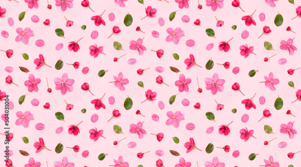 Seamless floral pattern of apple tree flowers buds leaves and petals on pink background flat lay top view