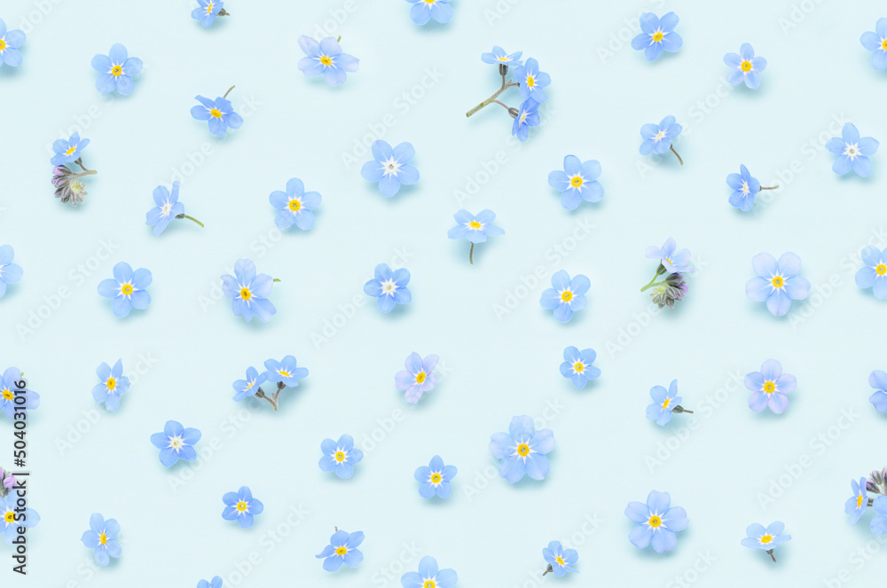 Seamless floral pattern of spring forget-me-not flowers on blue background top view flat lay Seamless floral pattern of spring forget-me-not flowers on blue background top view flat lay