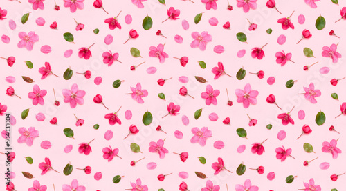 Seamless floral pattern of apple tree flowers buds leaves and petals on pink background flat lay top view