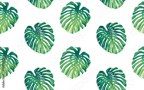 Seamless pattern with monstera leaves in realistic style. Exotic plants. Vector botanical illustration. Foliage background for wallpaper, textile, wrapping paper and greeting card.