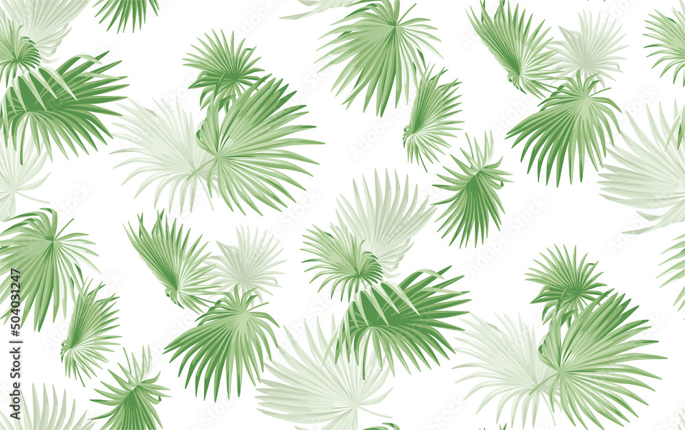 Seamless pattern with tropical palm leaves in realistic style. Exotic plants. Vector botanical illustration. Foliage background for wallpaper, textile, wrapping paper and greeting card. Seamless pattern with tropical palm leaves in realistic style. Exotic plants. Vector botanical illustration. Foliage background for wallpaper, textile, wrapping paper and greeting card.