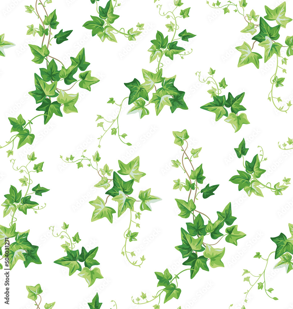 Seamless pattern with ivy. Leaves in realistic style. Climber plant. Foliage design. Vector botanical illustration on a white background.  - obrazy, fototapety, plakaty 