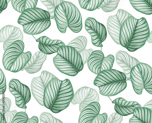 Seamless pattern with tropical leaves in realistic style. Exotic plants. Vector botanical illustration. Foliage background for cards. © Anna Sm