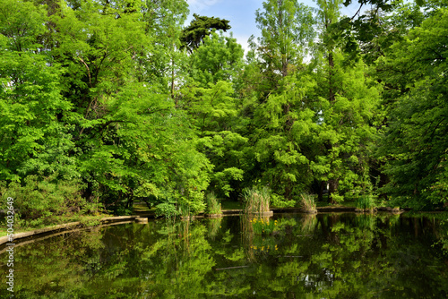 Lake view