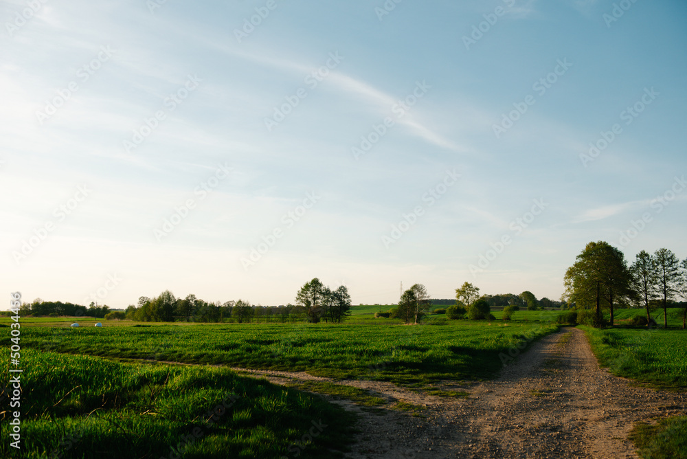 Obraz premium droga, niebo, pole