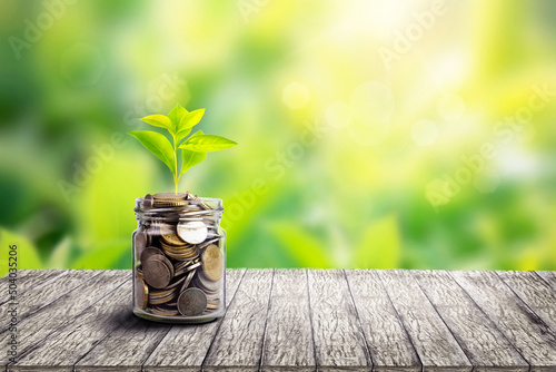 Plant Growing In Savings Coins - Investment And Interest Concept