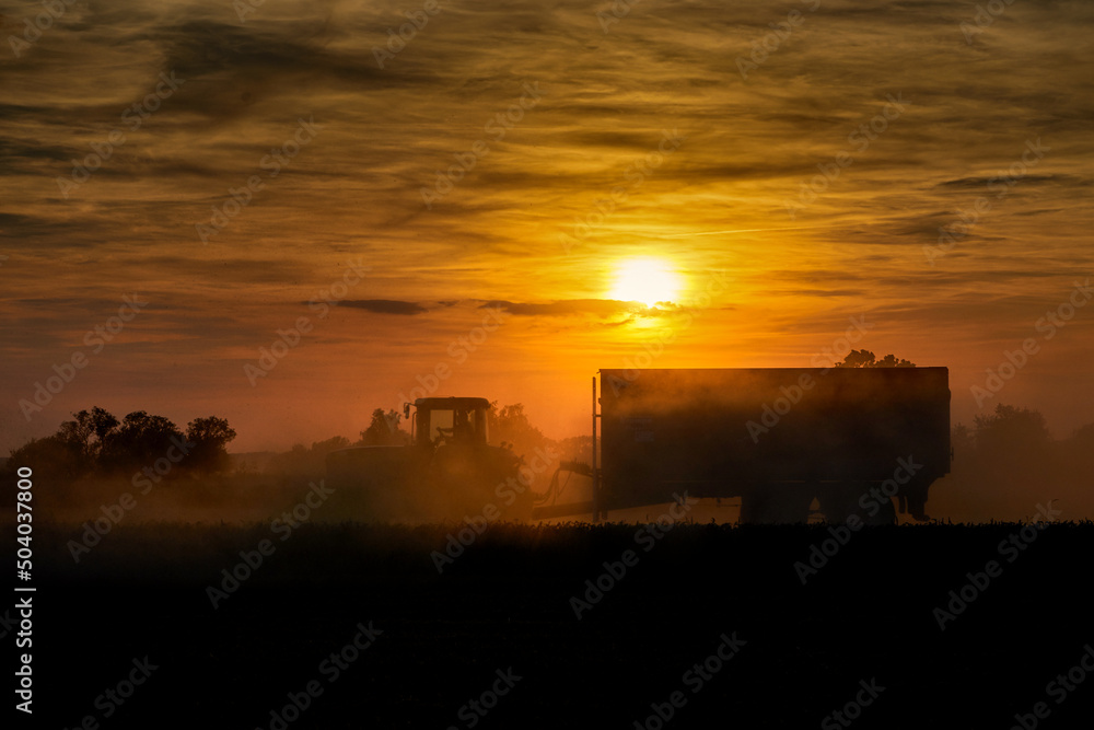 silhouette of harvesting scenery in sunset