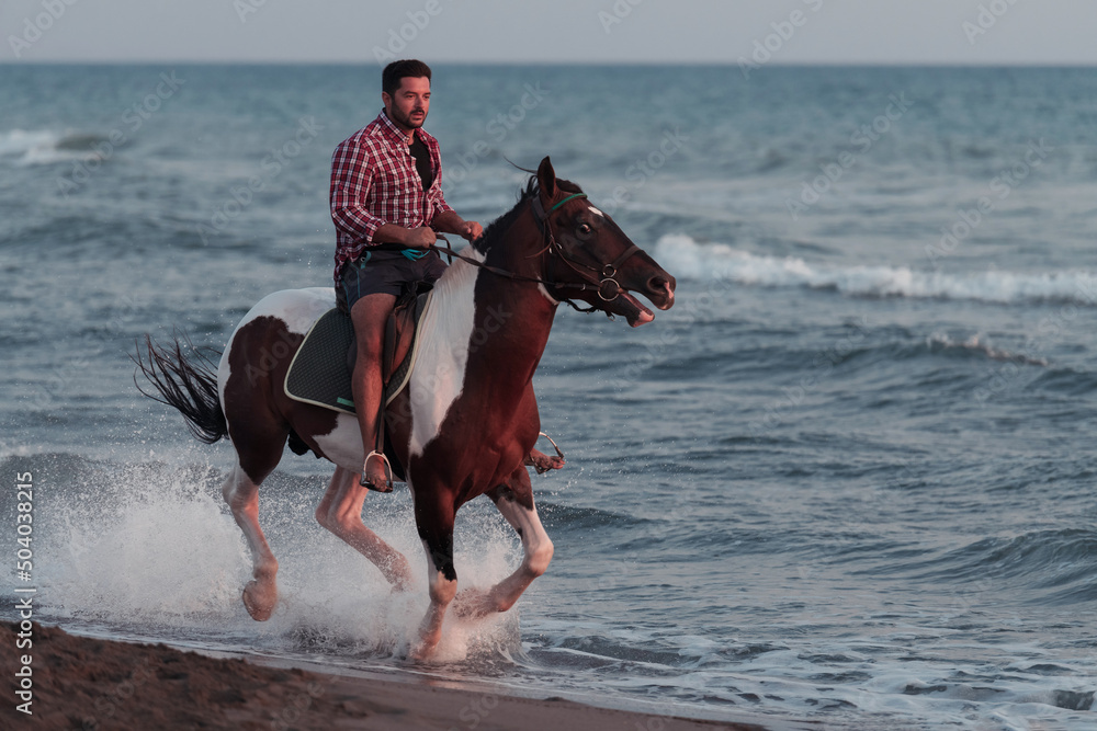 A modern man in summer clothes enjoys riding a horse on a beautiful sandy beach at sunset. Selective focus A modern man in summer clothes enjoys riding a horse on a beautiful sandy beach at sunset. Selective focus