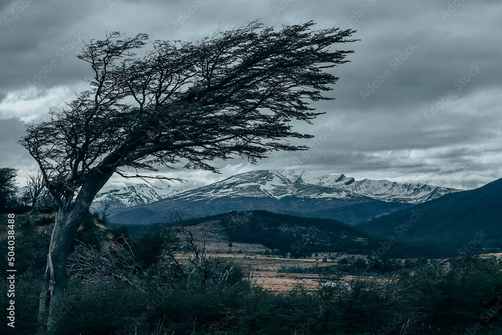 Fototapeta premium LANDSCAPE