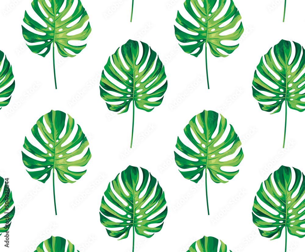 Seamless pattern with tropical monstera leaves in realistic style. Vector botanical illustration. Foliage design on a white background.