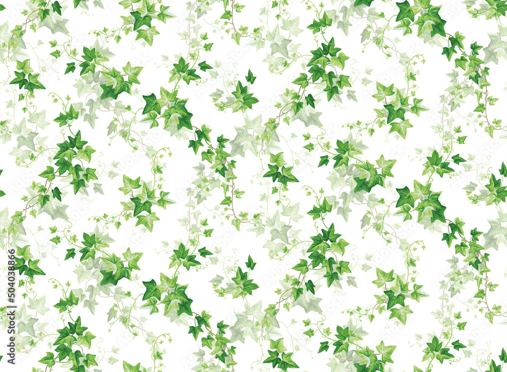 Seamless pattern with ivy. Climber plant. Leaves in realistic style. Foliage design on a white background. Vector botanical illustration. Seamless pattern with ivy. Climber plant. Leaves in realistic style. Foliage design on a white background. Vector botanical illustration.