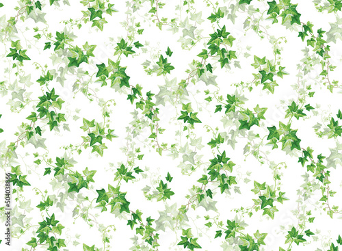 Fotografia, Obraz Seamless pattern with ivy