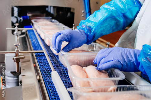 Conveyor Belt Food.Automated production line in modern food factory.A modern plant.Factory production food from meat. Production line with packaging and cutting of meat.
