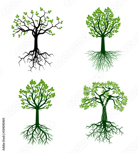 Set green Trees. Vector Illustration.