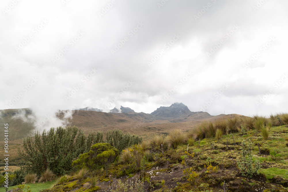 mountain scene surrounded by flora, natural landscape with cloudy sky in Ecuador, background without people, beauty of nature outdoors