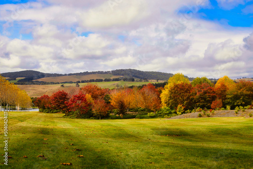 autumn landscape in the mountains