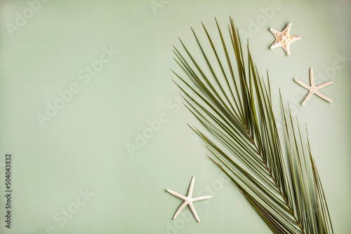 Composition of a big palm leaf with sea stars, summer vacation concept photo