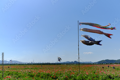 ホピー花畑　笠岡干拓