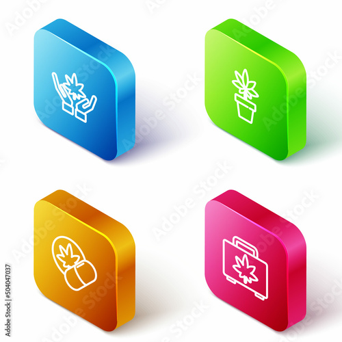 Set Isometric line Marijuana or cannabis leaf, plant, Herbal ecstasy tablets and Shopping box of marijuana icon. Vector