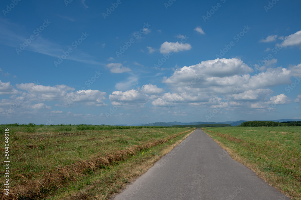 緑の草原を通る真っ直ぐな道路

