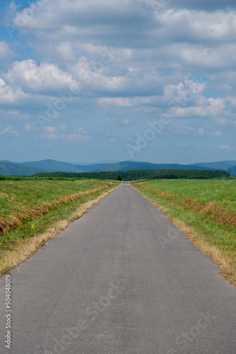 緑の草原を通る真っ直ぐな道路 