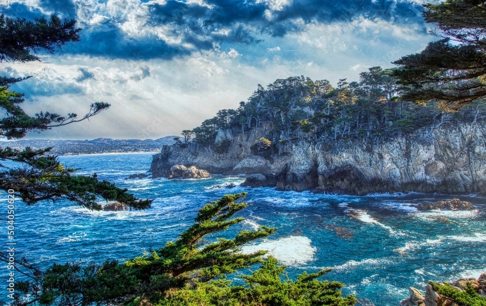 Fototapeta premium Big Sur_Point Lobos_03