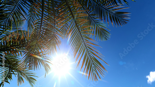 Coconut tree foliage on blue sky background and summer sun. 3D rendering