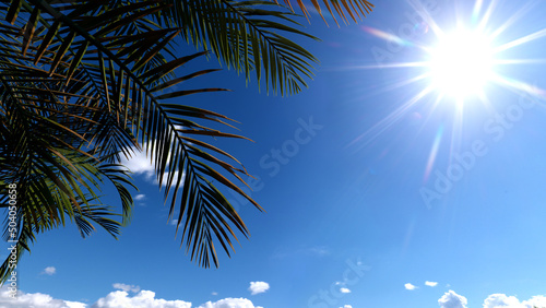 Coconut tree foliage on blue sky background and summer sun. 3D rendering