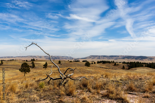 A branch marks the dramatic prairie grasslands landscape at Wind Cave National Park in South Dakota