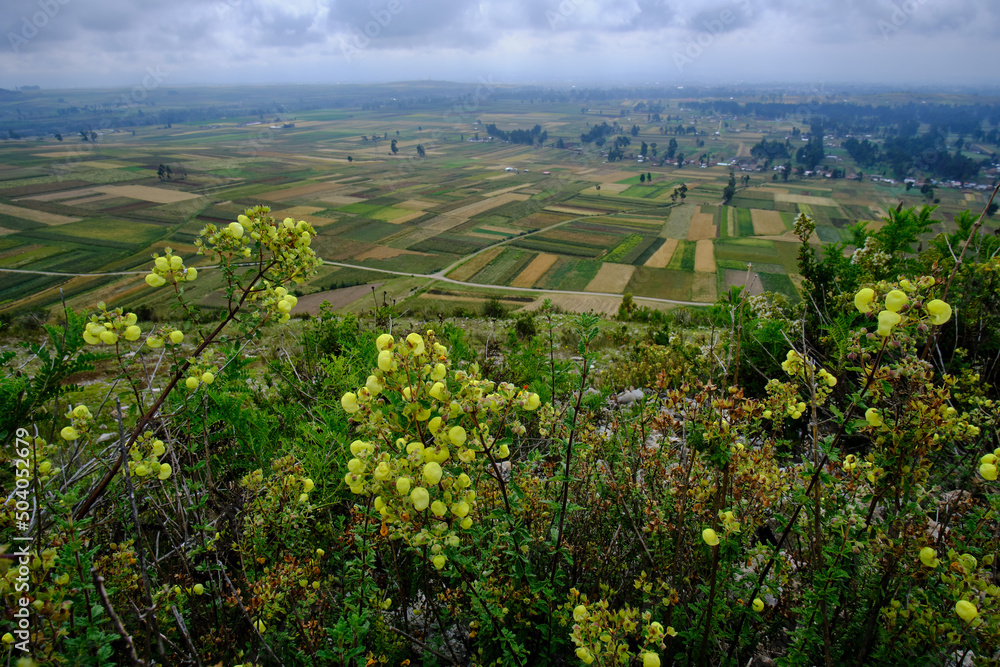 Scenario of agricultural crops in the Mantaro Valley, view from the Arwaturo viewpoint
