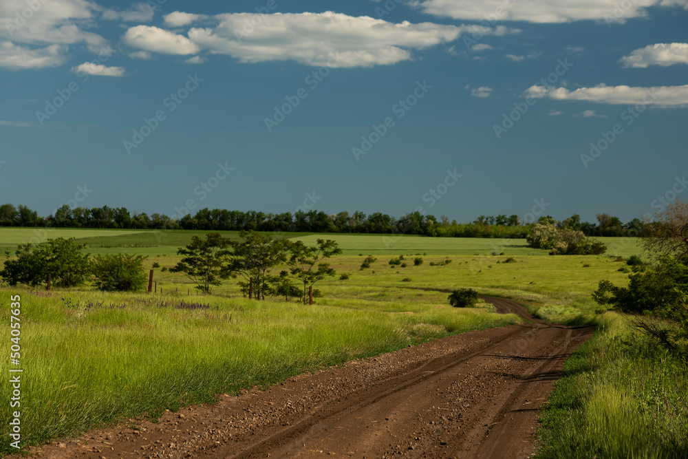 Dirt road among fields and steppes on a sunny summer day.