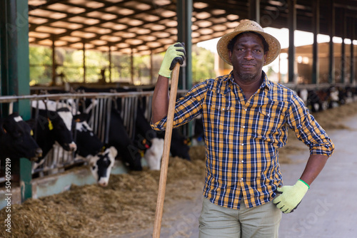 Portrait of a confident hardworking african american male farmer standing in a cowshed with a pitchfork in his hand