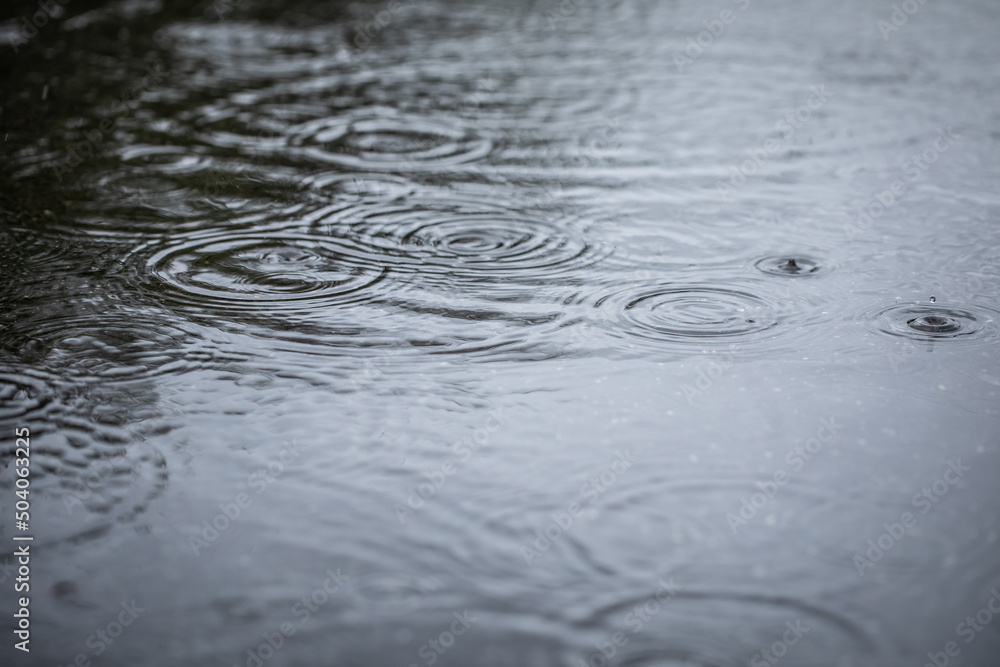 水たまりの波紋　Ripples of a puddle	