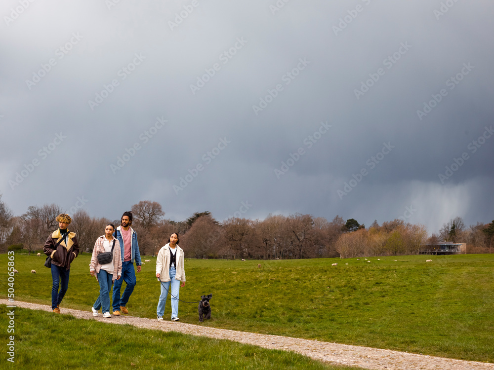 Group of young friends with dog in countryside Group of young friends with dog in countryside
