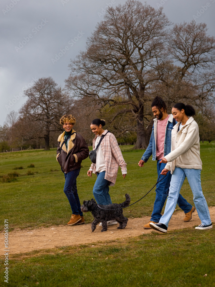 Obraz premium Group of young friends with dog in countryside