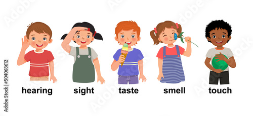 cute little children boys and girls showing five senses organs representing hearing, sight, taste, smell, touch as human body parts