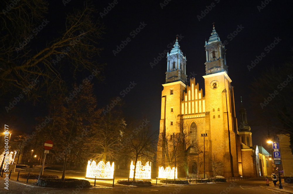 Landscape with Poznan cathedral at night - Poznan, Poland