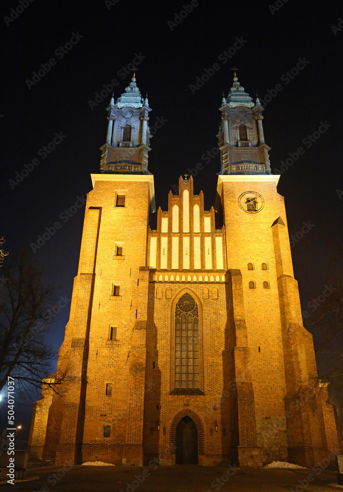 The front of Poznan cathedral vertical at night - Poznan, Poland