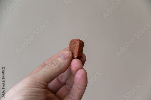 A man is holding a chewable flea and tick pill for pets in his hand. Veterinary medicine for oral use without packaging. Close-up. Selective Focus.