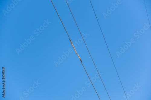 High voltage wires with a spiral coil against the blue sky. Twisted wire with white bondage. Industry. Electricity.
